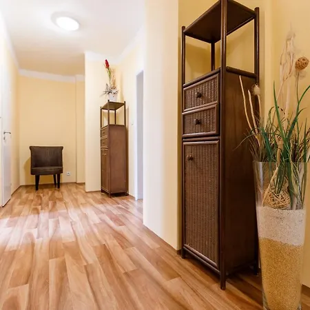 Apartment Tgm 11