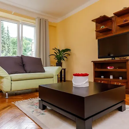 Apartment Tgm 11