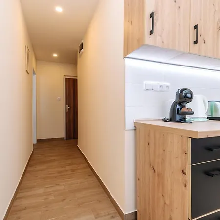 Apartment Tgm 11
